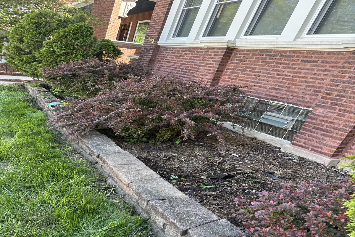 Before retaining wall and bushes